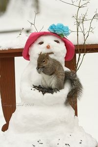 snowman squirrel feeder!!!