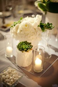 Décoration mariage : les succulentes