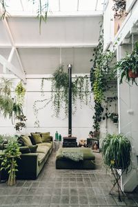 A plant-filled interior at Clapton Tram in London.