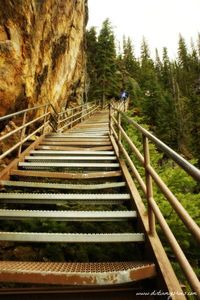 This trail is adventurous and challenging but provides incredible views of a beautiful waterfall! Uncle Tom's Trail || Yellowstone National Park || Dirt In My Shoes