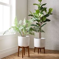 Faux Fiddle Leaf Fig Tree - 7' | west elm