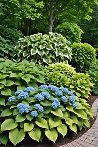 Hydrangea and hostas landscaping combinations to elevate your outdoor space! Discover 20 stunning pairings that'll add curb appeal and create a serene ambiance. Get inspired and start planning your dream garden now!