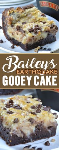 Baileys Earthquake Cake - OMG Chocolate Desserts