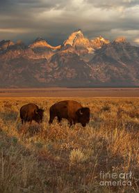 Grand Teton National Park, Wyoming