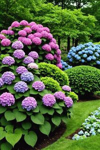 Create a breathtaking outdoor space with these 20 stunning hydrangea garden designs! From contemporary to rustic, get inspiration for your dream garden and start planning your outdoor oasis today!