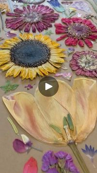 99K views · 384 reactions | Last process video of the Farm to Print series of 2024. Prints are available on our website. Link in bio.

Flowers sourced from @artemisflowerfarm. 

Where we live in Colorado now there is a a nightly wind that blows through the valley and cools everything down but also creates some absolutely beautiful sounds, especially now that it is Fall. The leaves are being blown off trees, swirled around the yard and resting against fence lines and in corners of the walls of the home (mostly outside 🙂).

The wind blows the beautiful smells of Fall that I could literally smell forever. There’s nothing like a crisp Fall day, with some light wind, some sun to warm the body, and beautiful leaves falling my around you. That’s a perfect day. 

This piece has a really nice wind