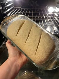 Basic Sourdough with Fresh Milled Flour - Health and Homeschool