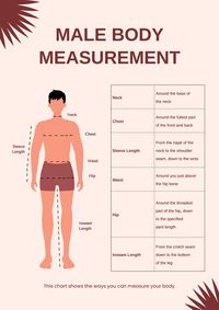 Male Body Measurement Chart