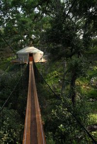 If you're still feeling too shaky to drive home afterwards, you can even spend the night in one of their treehouses! How cool is that?