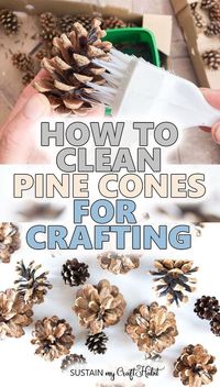 Learn how to clean pine cones for crafts, home decor and rustic wedding decor project. Step-by-step tutorial for cleaning pinecones for crafting. #pinecone #pinecones #diy #christmascrafts #howtocleanpinecones #sustainmycrafthabit #rusticwedding #weddingcrafts