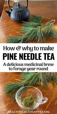 How to Make Pine Needle Tea (& Why You'd Want to)