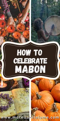 the festive time of Mabon is around the corner, it’s fall equinox and the first harvest feast in the pagan festive calendar - the wheel of the year or the sabbats. In this blog post we share ideas of how to celebrate this holiday through rituals, ceremonies and party ideas. We have ideas what decor to use, how to decorate your altar, recipes, herbs and much more