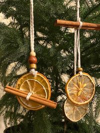 Handcrafted Christmas Ornament Collections - Citrus & Spice 24 pc collection