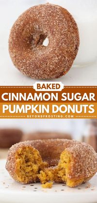 Put this fall recipe at the top of your must-try list! This easy pumpkin recipe lets you enjoy a batch of baked donuts in just minutes. Everyone will love these Cinnamon Sugar Pumpkin Donuts!