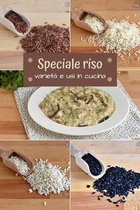 Che differenza c'è tra il riso Arborio e il Carnaroli? Qual è il riso migliore per il risotto? Con quale riso si fa il sushi? E gli arancini? Ecco una guida completa ai tipi di riso in commercio e al loro uso in cucina! #riso #varietà #risotto #sushi #arancini #arancine #timballi #insalatadiriso