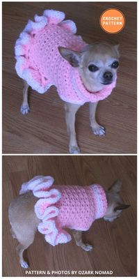 12 Awesome Crochet Dog Sweaters For All Sizes - The Yarn Crew