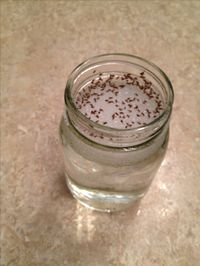 Gnat killer! In a mason jar...Vinegar (distilled white) little bit of sugar drop of dish soap fill rest of the way with hot water....watch em drown! :)