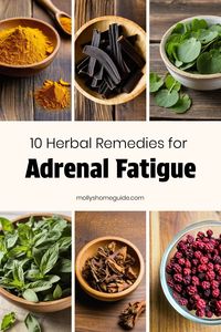 Discover natural support for adrenal fatigue with these best herbs and remedies. Explore adaptogenic herbs, herbal teas, and essential oils that may help relieve adrenal fatigue symptoms. These medicinal herbs offer adrenal support to combat low energy levels. Try DIY blends or supplements for adrenal fatigue relief. Embrace the power of nature with these effective solutions for managing adrenal fatigue in a healthy way.