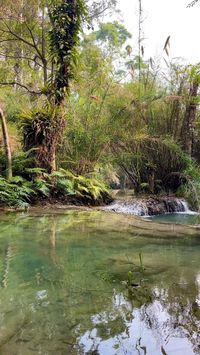 Laos travel