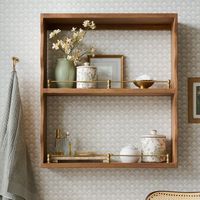 Faye Scallop Shelf with Brass Rails