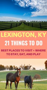 Get inspired to visit Lexington, Kentucky right in the heart of the  Bluegrass. Do you love bourbon, basketball, and horses? Then Lexington  is the place for you! US Travel at its best with sprawling horse farms  and scenic back country drives.