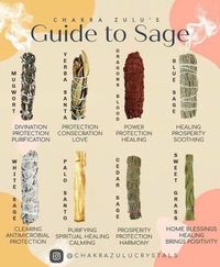 Helpful sage guide : occult