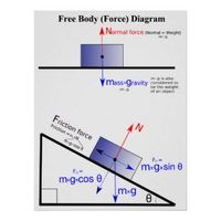 Physics Free Body Force Diagram Poster