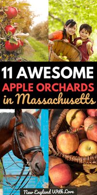 11 Great Places to Go Apple Picking in Massachusetts | New England With Love