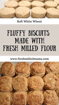 These fluffy biscuits made with fresh milled flour are crispy on the outside and tender on the inside. They are great as a side, for biscuits and gravy, and they hold up well for breakfast sandwiches.   #freshmilledflour #recipes #softwhitewheat #komomio #biscuits #buttermilkbiscuits #breakfast #sides #dinner #breakfastsandwich #freshmilledmama #wholegrain #wholewheat #biscuitrecipes