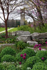 Bell tower at University of Western Ontario