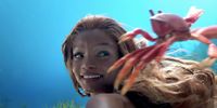 Behind-the-scenes footage of Halle Bailey shooting "Under the Sea" in the live-action The Little Mermaid reveals a hilarious look at pre-CGI Ariel.