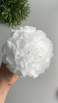 Easy Crafts Ideas