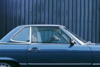 the silence of dogs in cars . martin usborne