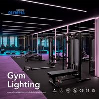 In modern gym design, lighting goes beyond just providing illumination; it's a key element in creating an atmosphere that enhances the workout experience.  The right lighting can significantly enhance the workout atmosphere, boosting energy and motivation for exercisers. LED Neon Flex allows for adjustments in color temperature and brightness, creating a dynamic environment that energizes people as they engage in their workouts.