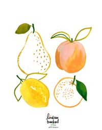 fruit pear peach lemon orange clementine fruits watercolor gouache wall art decor print lindsay brackeen kitchen inspiration yellow pink green modern citrus orchard #lemons #pear #fruitart #peach