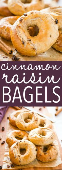 These Easy Homemade Cinnamon Raisin Bagels are perfectly dense & chewy, and packed with spicy cinnamon and juicy raisins. They're SO easy to make with no special equipment or ingredients, and no refined sugar! Recipe from thebusybaker.ca! #cinnamonraisin #bagels #Homemadebagels #howtomakebagels #baking #breakfast via @busybakerblog