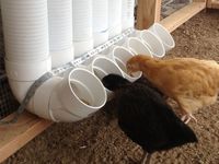 ****** DIY chicken feeder pipe! ******