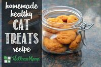 Healthy Homemade Cat Treats Recipe | Wellness Mama