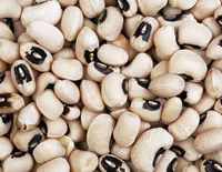 How to Soak, Boil, Sprout & Ferment Legumes