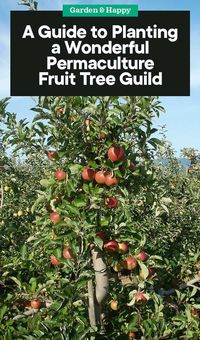 A Guide to Planting a Wonderful Permaculture Fruit Tree Guild - Garden and Happy