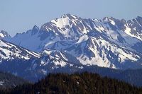 The Alpine Biome