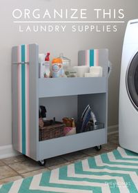 Organize This: Laundry Supplies - The Homes I Have Made