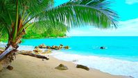 Tropical Island Beach Ambience Sound - Ocean Sounds and Singing Birds Am...