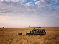 No Safari Is Complete Without a Night Game Drive—Here Are 10 of the Best | Condé Nast Traveler