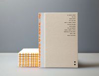 Re: ISSUE 01 2012-13 by Jason Little, via Behance