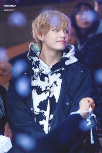 #BTS #BTSKayla #V #Taehyung #Kimtaehyung