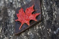 Hand carved leather pendant.