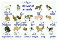 Animals in Farsi