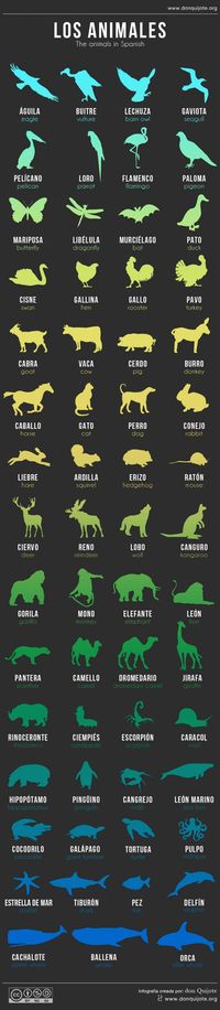 Animals in spanish. www.spanishtutor.biz