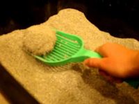 Best Large Litter Scoop, The Litter Lifter ねこ - ラグドール - Floppycats	http://youtu.be/SJMqc_2poGc